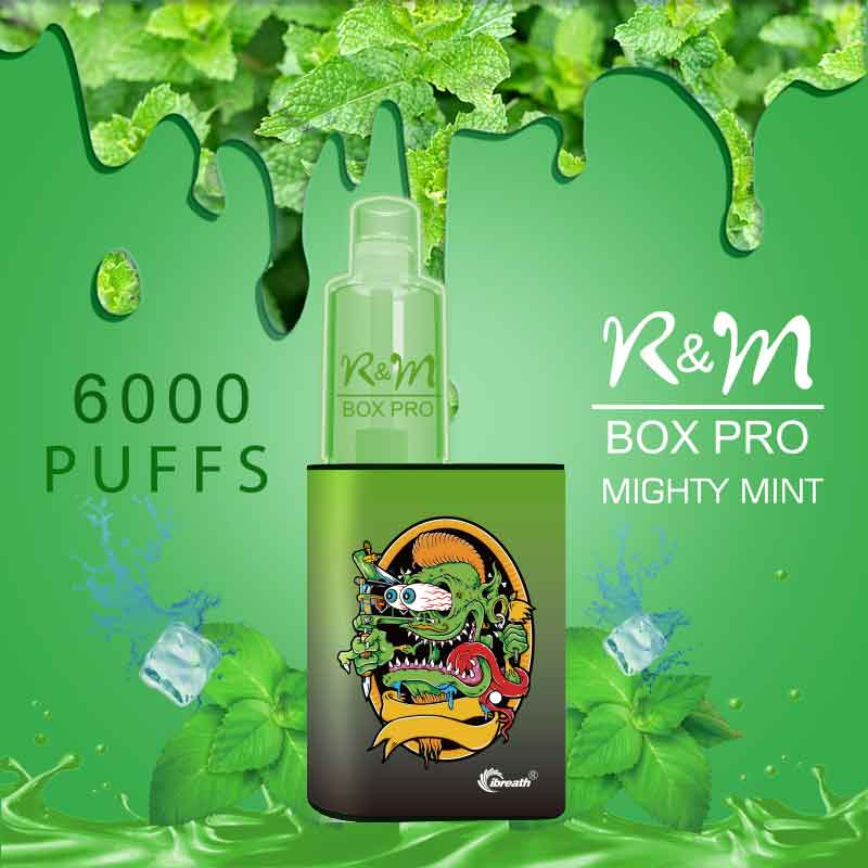 R&M Box Pro Mighty Mint | Fabor de frutas | Proveedor de vape desechable | Hyde Vape