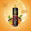 Listo para enviar una leyenda original de R&M 10000puffs 12 Flavors Vape desechables Venta al por mayor de USA Randm Elfón Versión de malla Mesh Cigarrillo electrónico