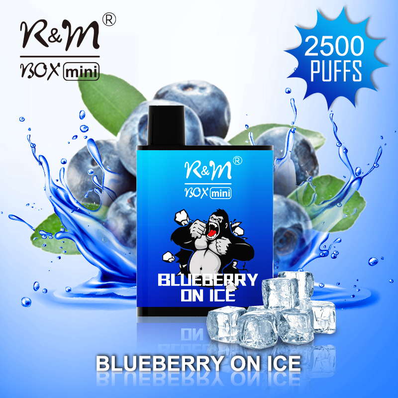 R&M Box Mini Blueberry on Ice | 3% Salt Nicotina Vapor 
