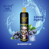 Randm Hottest Food Grade Bouce BoCe Coil Customale Mesh Coil 10K Puff R&M Legend Mesh Coil E Cigarrillo Hyde Vape Dispuff Elf Bar Dispositivo 