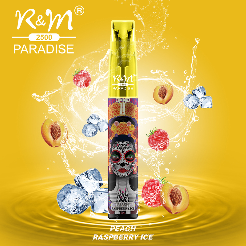 R&M Paradise Mini Europa 2% Salt Nicotine 2500 Puffs personalice la marca Vapor desechable