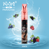 R&M Paradise Mini Australia Original 2500 Puffs Mesh Coil Disppone Vape